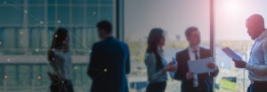 Bow & Baan Employee Management
