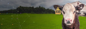 Bow & Baan - Farm-Animals-Management-Soft