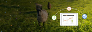 Bow & Baan Farm Animals Software