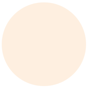 Light Orange Circle