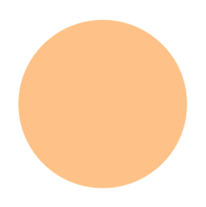 Medium Orange Circle